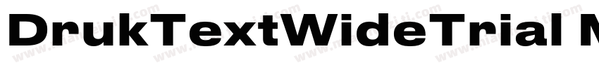 DrukTextWideTrial Medium字体转换